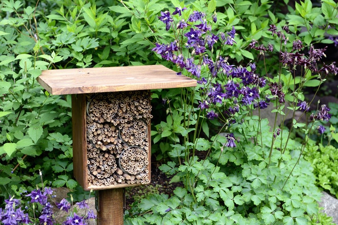 Ein kleines Bienenhotel im Garten