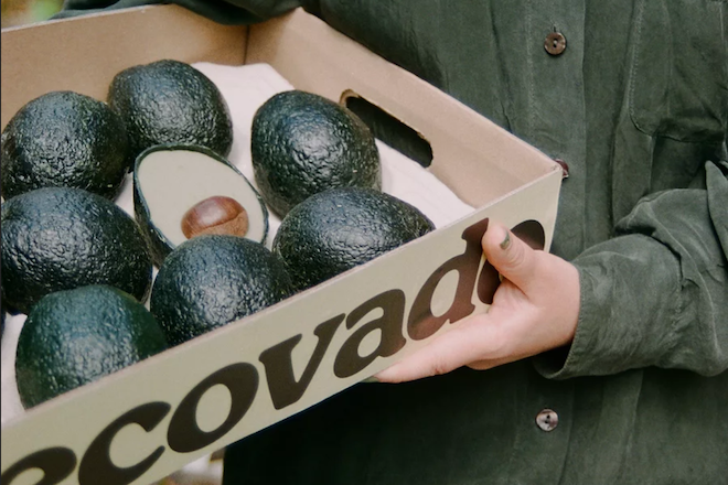 Die Ecovado sieht der Avocado zum Verwechseln ähnlich