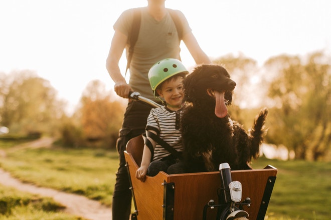 Ein Junge mit grünem Helm und ein schwarzer Hund im Lastenvelo