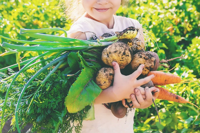 ein Mädchen hält verschiedene Gemüsesorten in den Armen