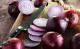 Entzündungshemmende Lebensmittel: Zwiebeln lösen Hustenschleim