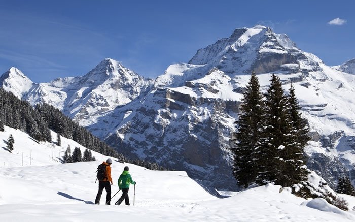 Ausflugstipps für kalte Tage: Schneeschuhwandern in der Schweiz