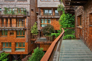 Wohnen im City-Baumhaus: «25 Verde» holt den Wald in die Stadt