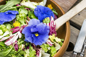 Feine Farbtupfer: Wie essbare Blumen Gerichte aufpeppen