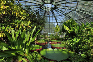 Die 10 schönsten botanischen Gärten der Schweiz