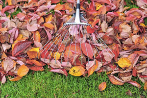 4 Tipps, wie Sie das Herbstlaub im Garten richtig nutzen