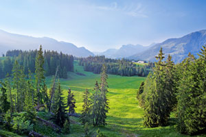 Einmalige Natur erleben in den 10 schönsten Pärken der Schweiz