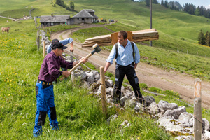 Voller Einsatz: Wie Bergbauern die Zukunft unserer Alpenwelt sichern