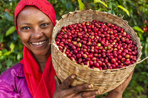 Fairtrade im Check, nützliche Tipps & exklusiver Wettbewerb