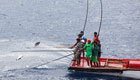 Pole&Line: Thunfisch von der Angelrute