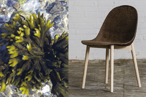 Aus Alge wird Öko-Möbel: Dieses innovative Design ist Natur pur