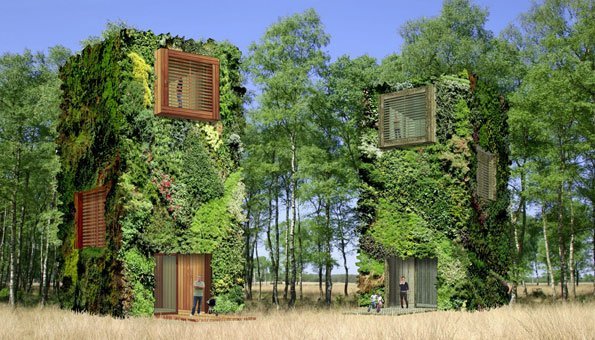 Nachhaltig wohnen in der Zukunft: Ab ins moderne Baumhaus