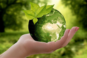 Warum Nachhaltigkeit nicht immer auch Umweltschutz bedeutet
