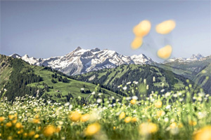 3 neue Schweiz-Wanderreisen mit besonderen Highlights entdecken