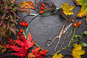3 schöne Herbstdekos basteln aus Naturmaterialien