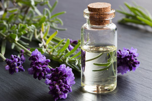 Lavendelöl wirkt nicht nur gegen Mücken und Schlafstörungen