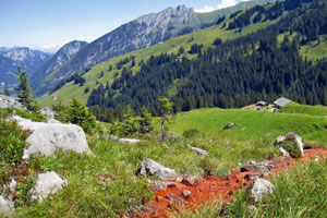 Die 9 schönsten Rundwanderungen in der Schweiz