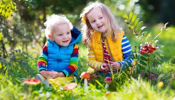 Waldkindergarten und Waldschule: Schon früh von der Natur lernen