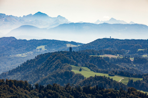 Auf diesen 6 Touren in der Region Zürich wandern wir am liebsten