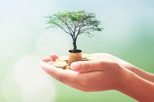Wie ESG-Kriterien helfen, nachhaltige Investments zu finden