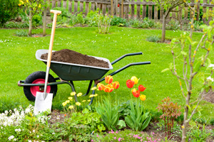 Starten Sie nachhaltiger in die Gartensaison mit diesen Tipps