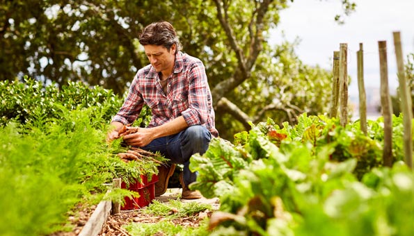 So bringt Permakultur mehr Ertrag und Artenvielfalt in Ihren Garten