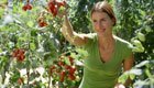 Tomaten-Pflanzen: Tipps zur erfolgreichen und nachhaltigen Ernte