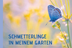 Gewinnen Sie das Buch «Schmetterlinge in meinem Garten»