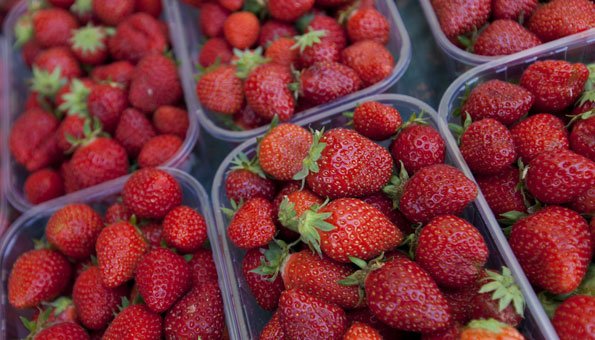 Erdbeeren aus der Schweiz sind bis zu 20 Pestiziden ausgesetzt 