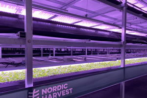 Gemüse auf 14 Etagen: Das ist die grösste vertikale Farm Europas