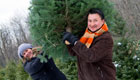 Nachhaltige Weihnachten: So finden Sie Bio-Christbäume in der Schweiz