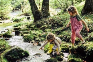 Die Natur mit Kindern entdecken – 5 Ideen für Familien