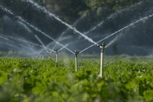 Wasserkrise in der Landwirtschaft: Kleinere Flüsse stossen an ihre Grenzen