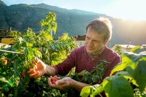 Neuer Leitfaden für eine klimafreundlichere Landwirtschaft