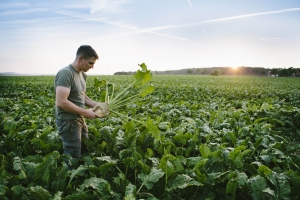 Deutscher Landwirtschaftsminister plant Bio-Revolution