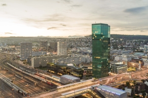 Die Bäume in Zürich schwinden – nun reagiert die Stadt