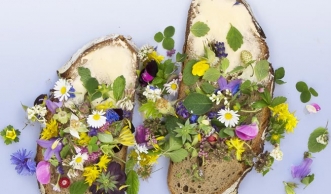 Feine Farbtupfer: Wie essbare Blüten Gerichte aufpeppen