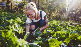 Gärtnern in Zeiten des Klimawandels: 11 Tipps vom Profi