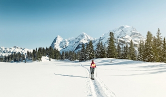 Schneeschuhlaufen im Berner Oberland: Wo du die schönsten Touren findest