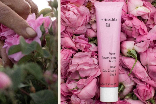 Wettbewerb: Gewinne eine Tagescreme von Dr. Hauschka