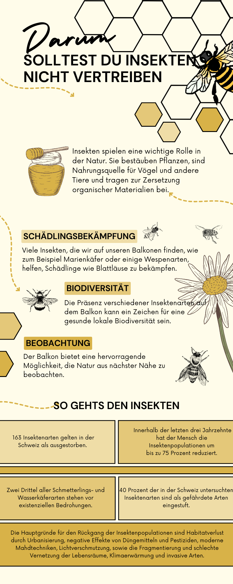 Die Infografik erklärt, warum man Bienen nicht vertreiben sollte