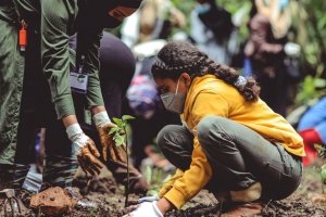 Bäume pflanzen: So sinnvoll sind Aufforstungsprojekte fürs Klima