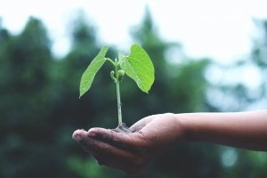 Was ESG-Kriterien über nachhaltige Investments aussagen