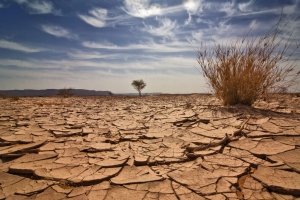 Wegen der Klimakrise: UN-Chef warnt vor kollektivem Selbstmord der Menschheit
