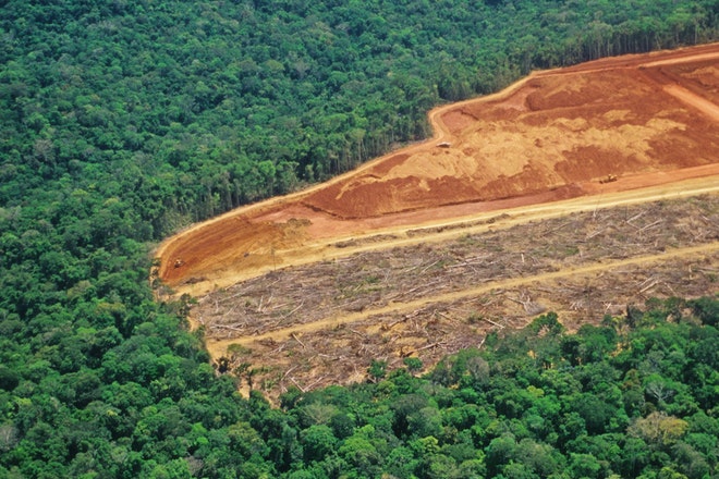 Blick von oben auf den Amazonas Regenwald mit abgeholzter Fläche