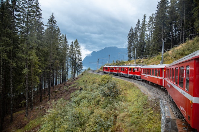 Der Bernina Express, der sich durch einen lichten Wald schlängelt.