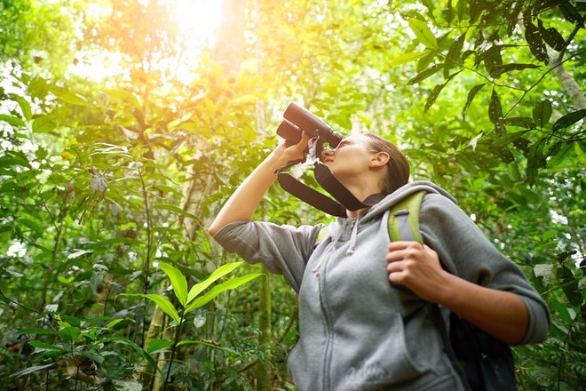 Young female hiker watching through binoculars wild birds in the jungle. 