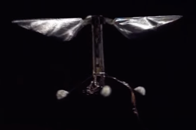 Roboterbiene Robobee mit zarten Flügeln