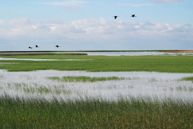 Der Doñana Nationalpark in Andalusien
