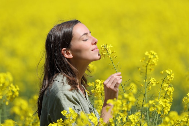 Frau die an einer gelben Blume riecht auf einem gelben Blumenfeld.